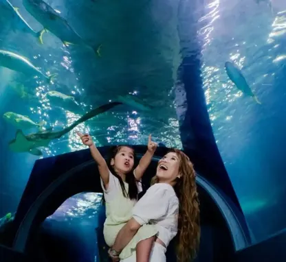 10 Best Family-Friendly Activities in Melbourne