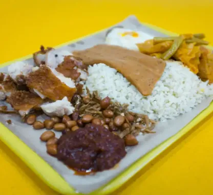 Mount Faber Nasi Lemak