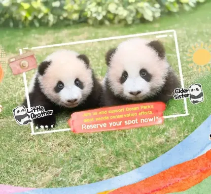 Tis the Season for Panda-full Blessings!